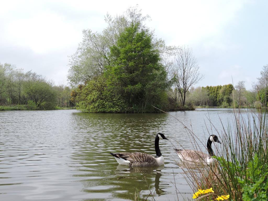 Bodmin Holiday Park Lanivet Ngoại thất bức ảnh